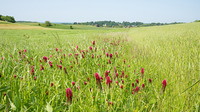2427402591